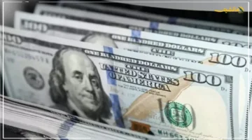 هل يستمر الثبات؟.. سعر الدولار اليوم السبت 6 سبتمبر 2025 أمام الجنيه المصري استقرار يخالف التوقعات 1